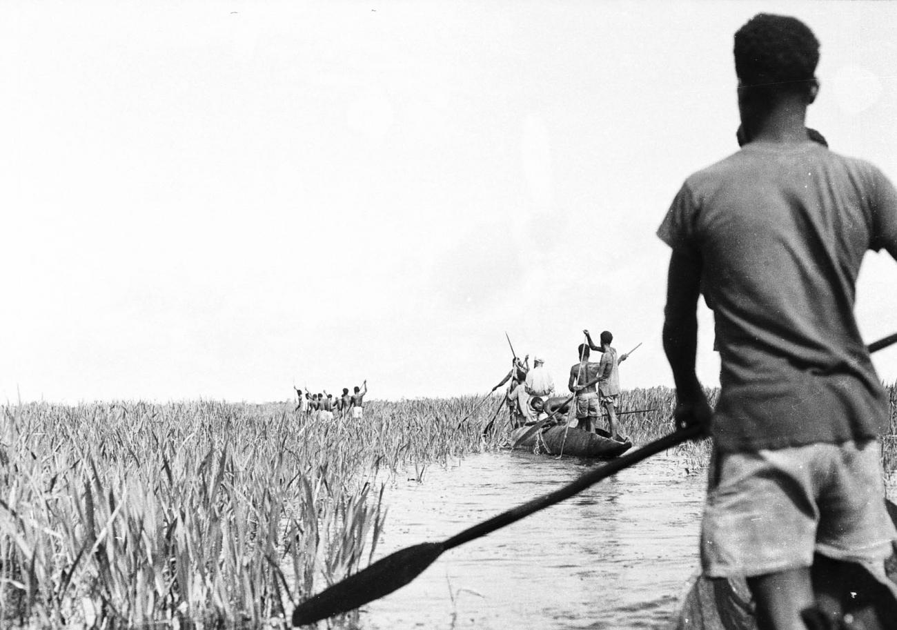 BD/133/304 -
Tocht Merauke-Kepi-Cook: In prauwen varend door het riet