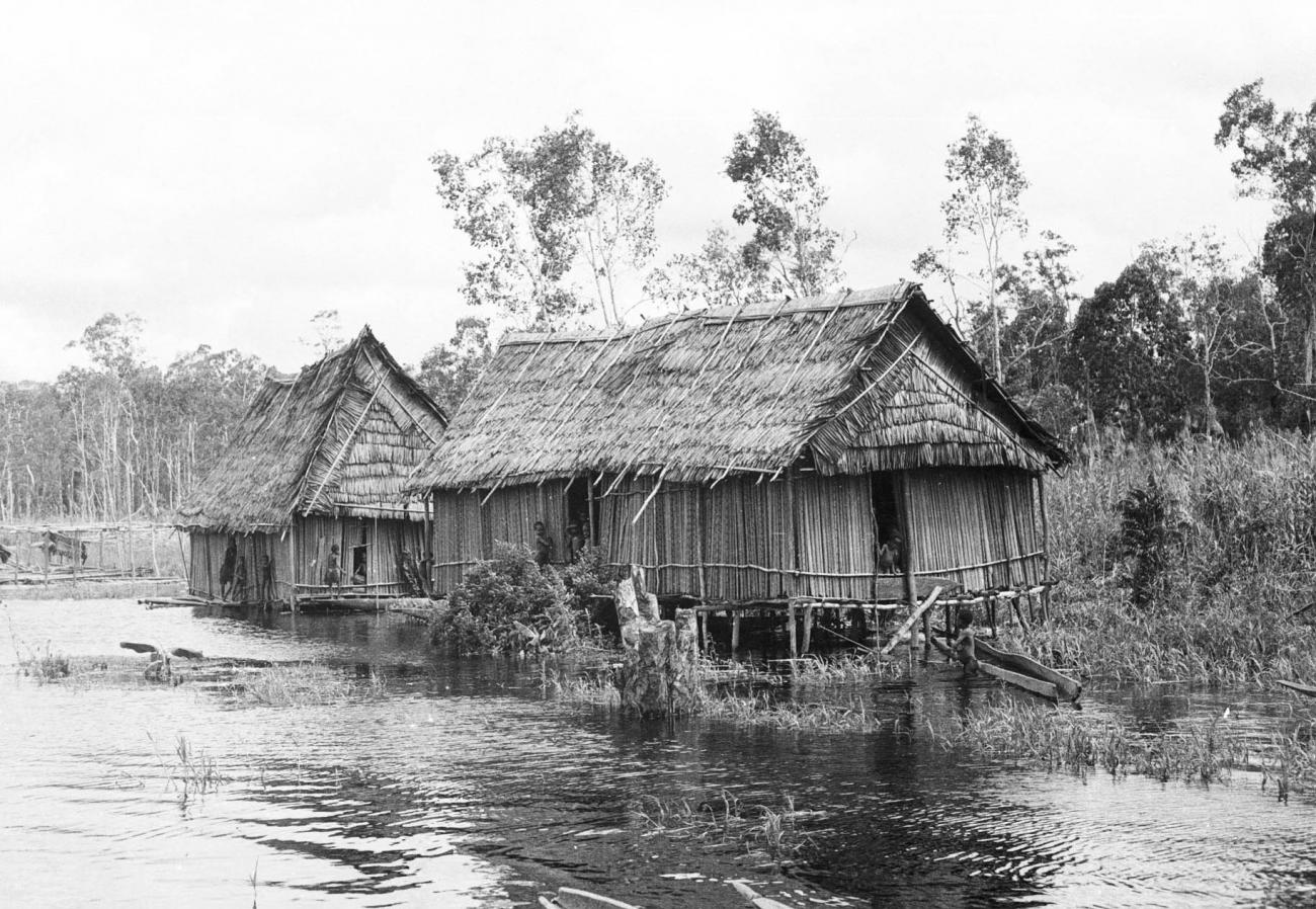 BD/133/316 -
Tocht Merauke-Kepi-Cook: Hutten aan het water