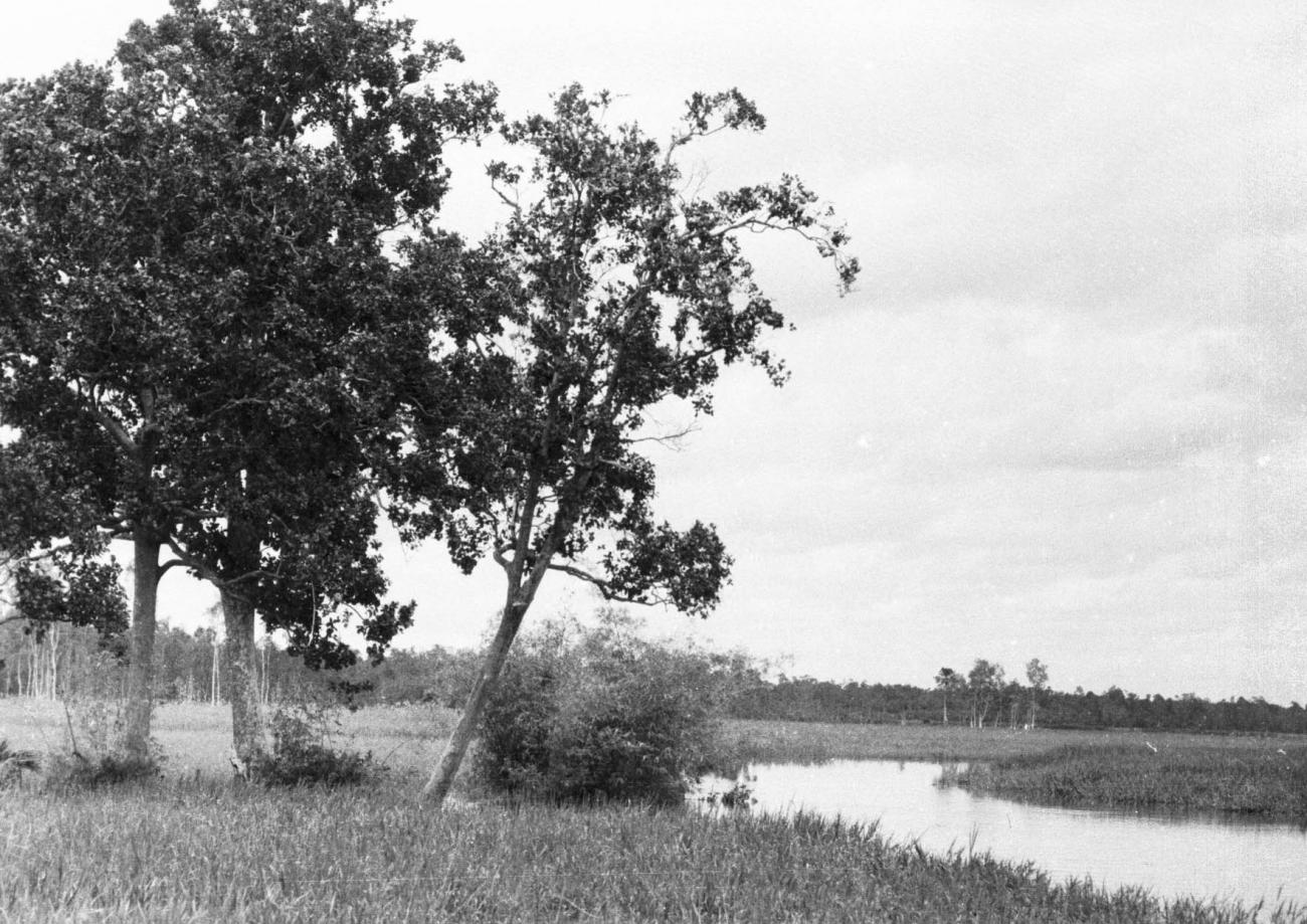 BD/133/414 -
Opname van het landschap bij Okaba????