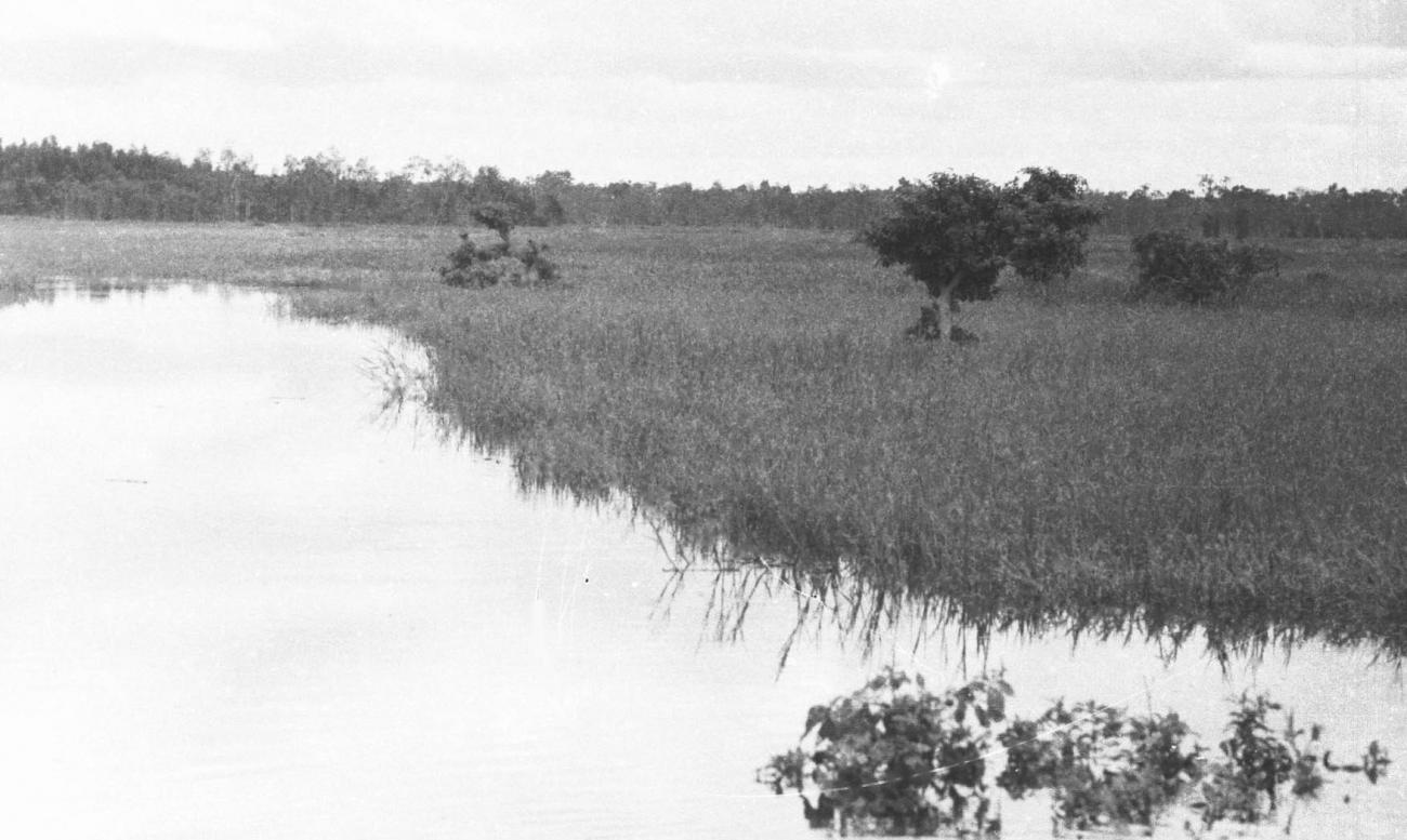 BD/133/423 -
Tocht Merauke-Kepi-Cookrivier vv: Landschapsopname van de rivier