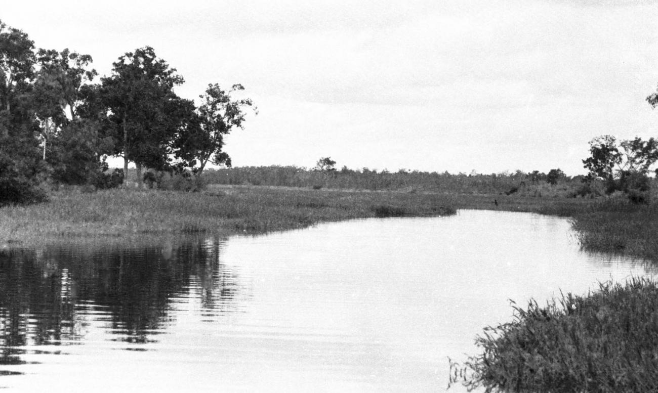 BD/133/424 -
Tocht Merauke-Kepi-Cookrivier vv: Landschapsopname van de rivier