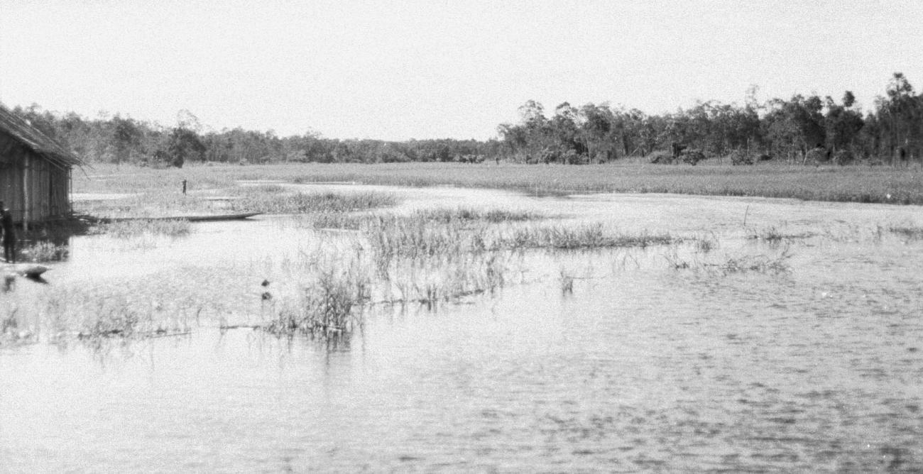BD/133/431 -
Tocht Merauke-Kepi-Cookrivier vv: Landschapsopname van de rivier