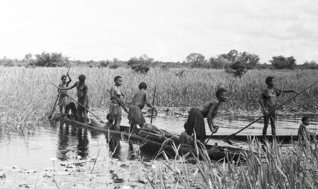 BD/133/434 -
Tocht Merauke-Kepi-Cookrivier vv: Prauwen tussen het riet