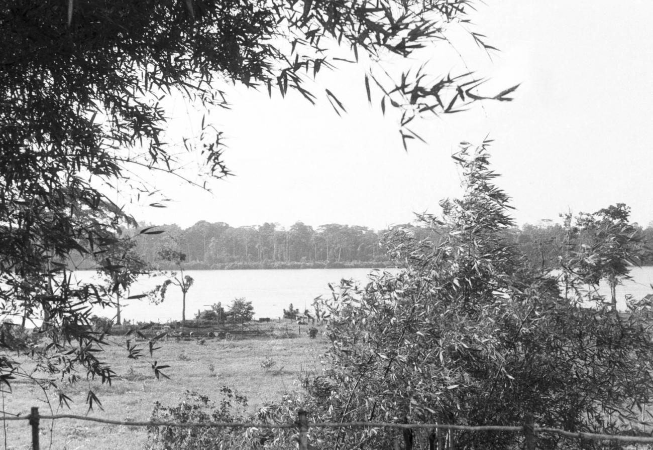 BD/133/454 -
Gezicht vanaf de oever op het water