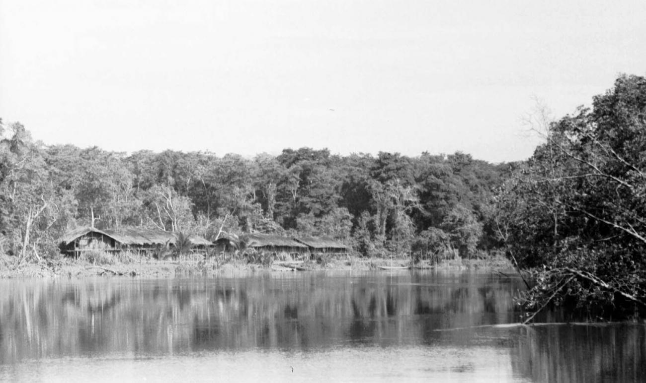 BD/133/45 -
Trip Merauke-Kapi: settlement on the river