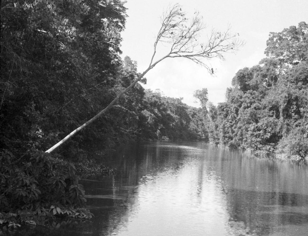 BD/133/468 -
Opname van de rivier