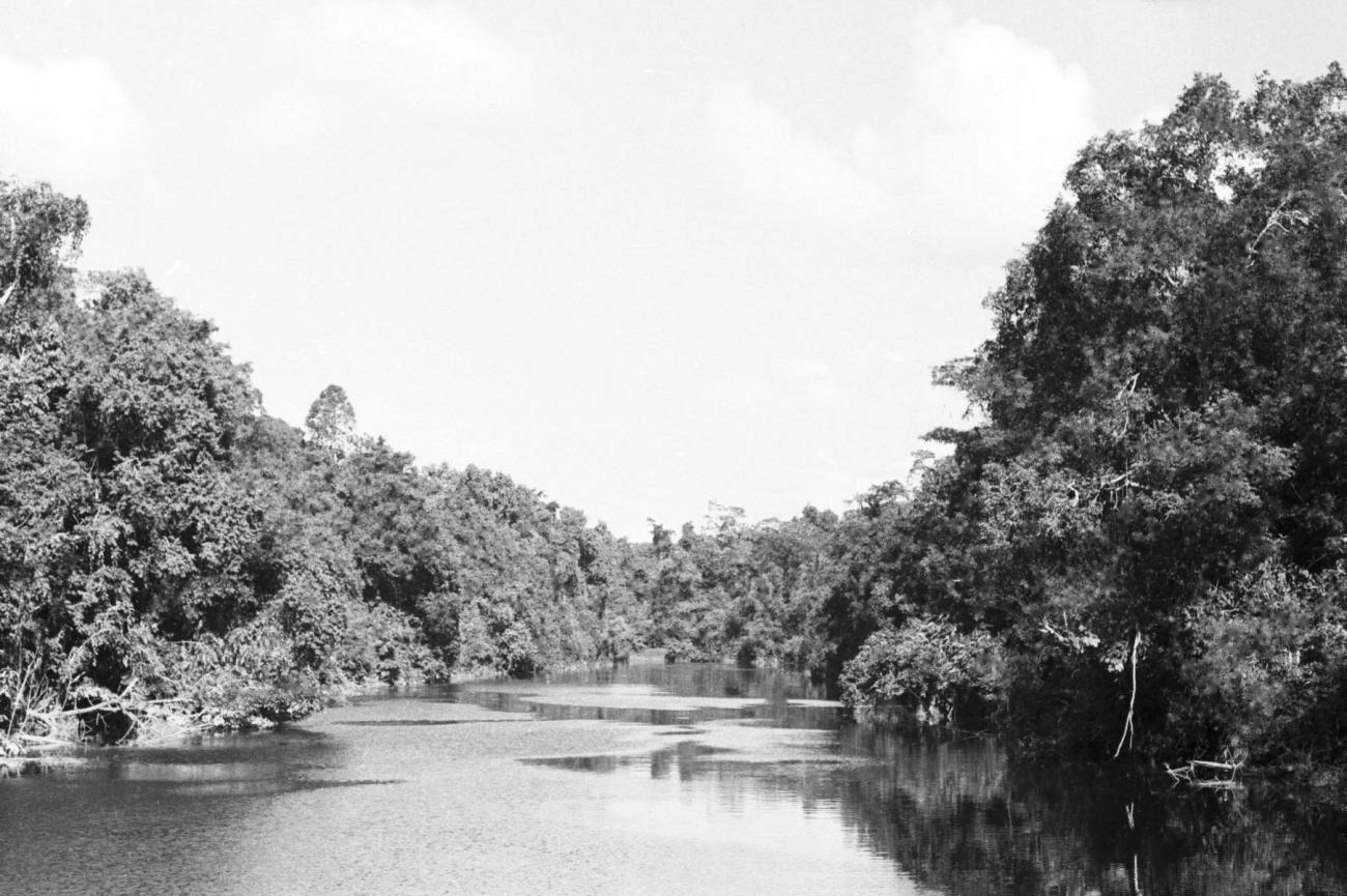 BD/133/490 -
Opname van de rivier