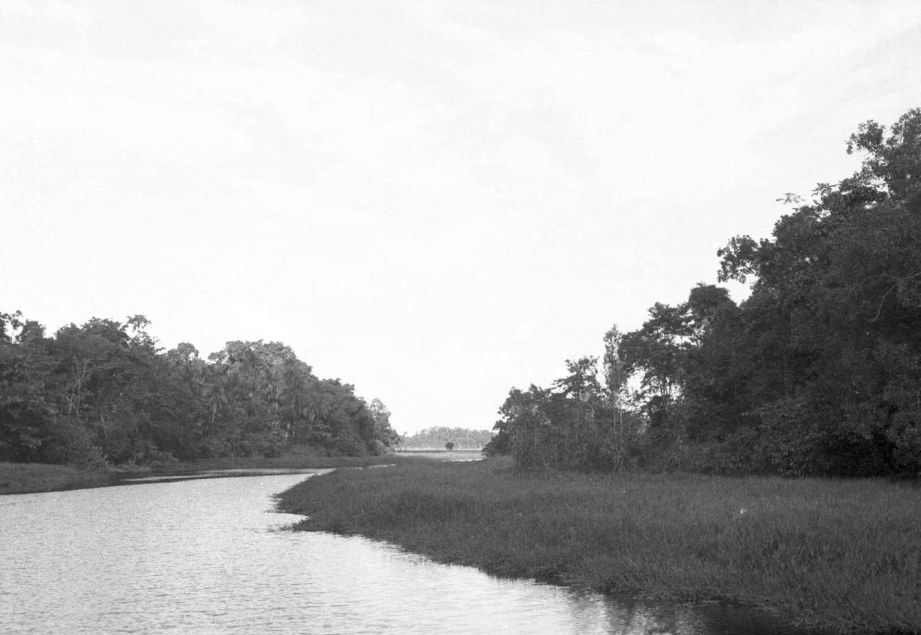 BD/133/497 -
Opname van de rivier