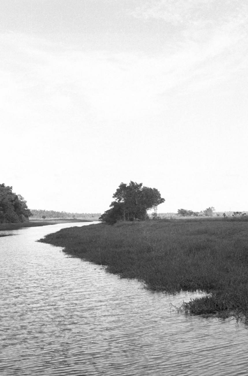 BD/133/498 -
Opname van de rivier