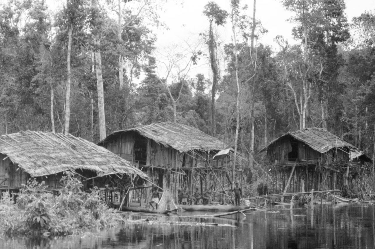 BD/133/49 -
Trip Merauke-Kapi: settlement on the river