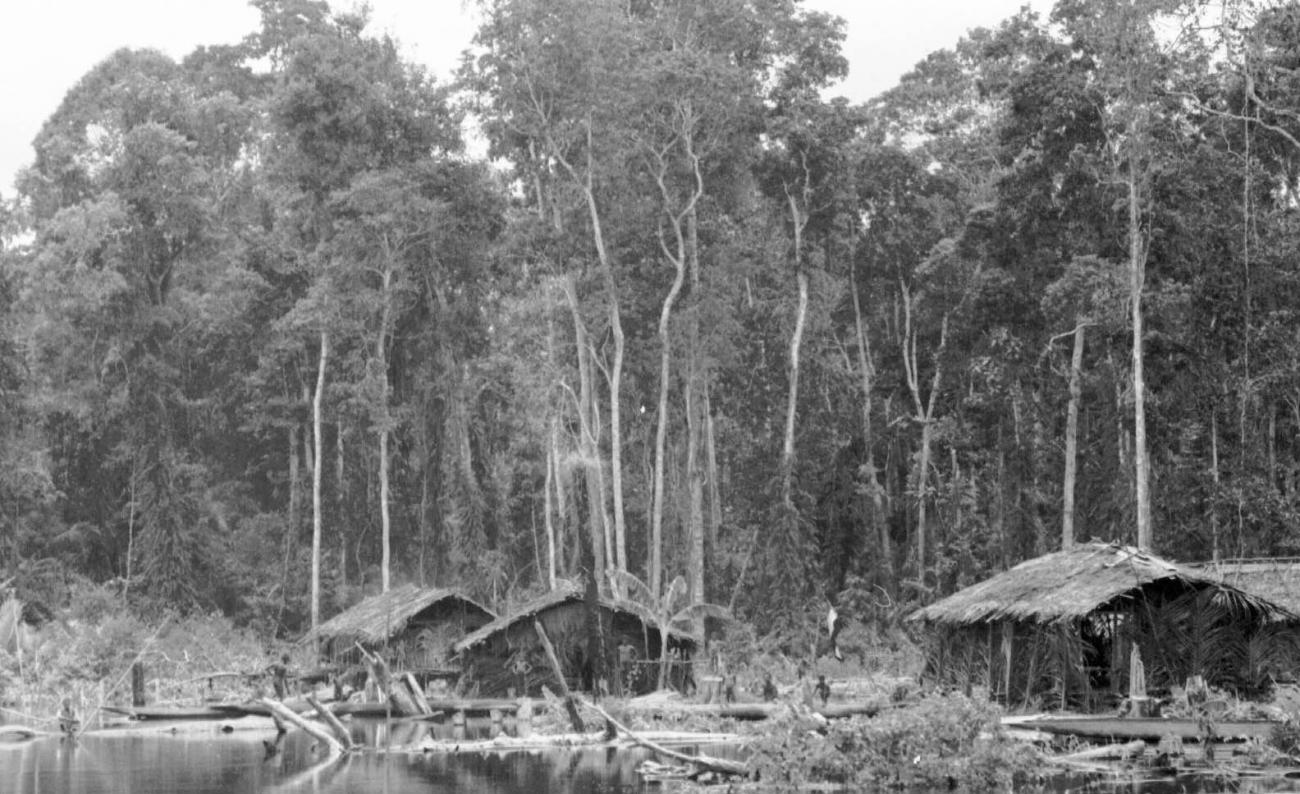 BD/133/53 -
Trip Merauke-Kapi: Settlement on the river