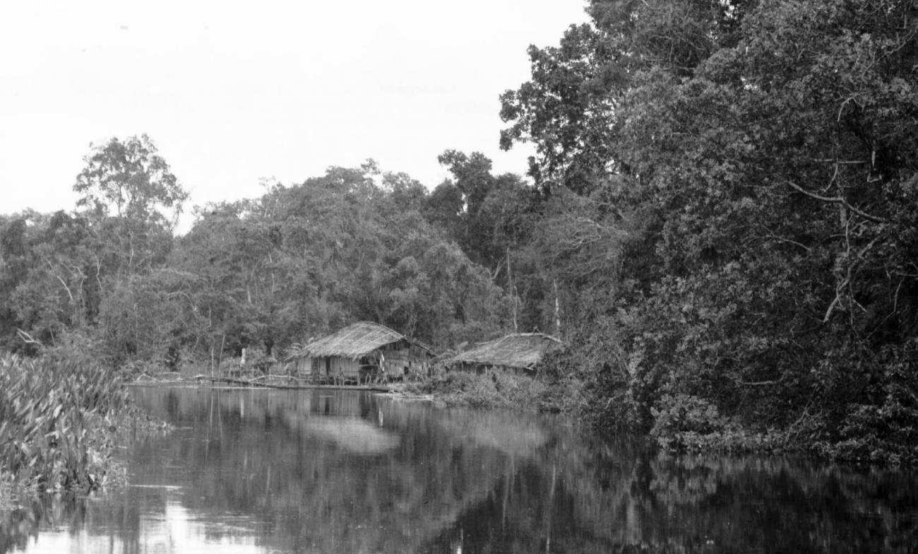 BD/133/54 -
Trip Merauke-Kapi: Settlement on the river