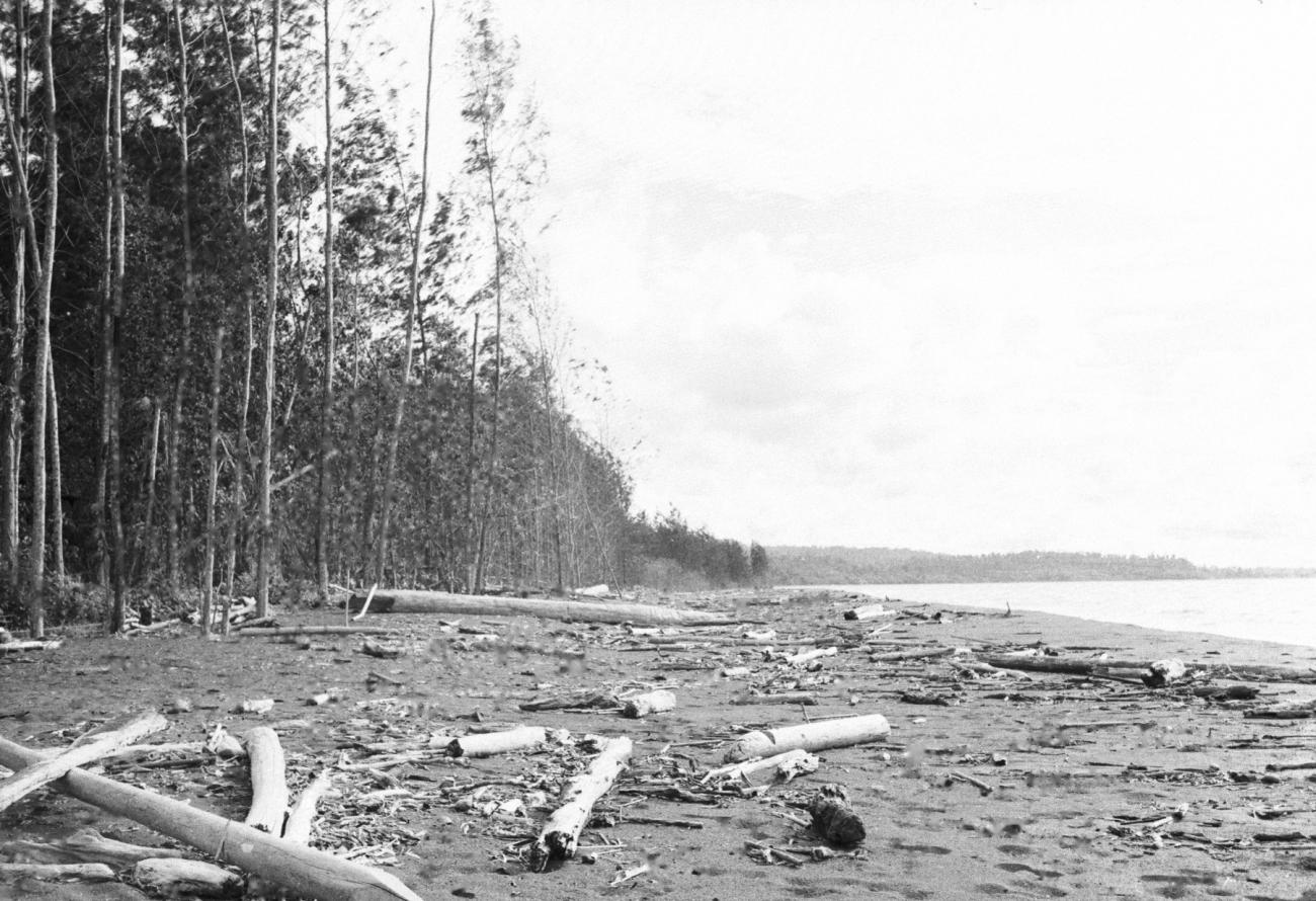 BD/133/559 -
Op het strand aangespoeld hout