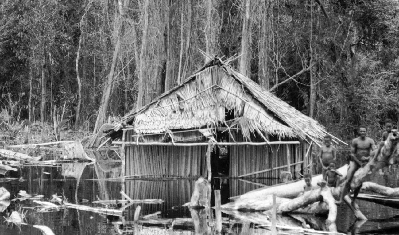 BD/133/55 -
Trip Merauke-Kapi: A house on the water