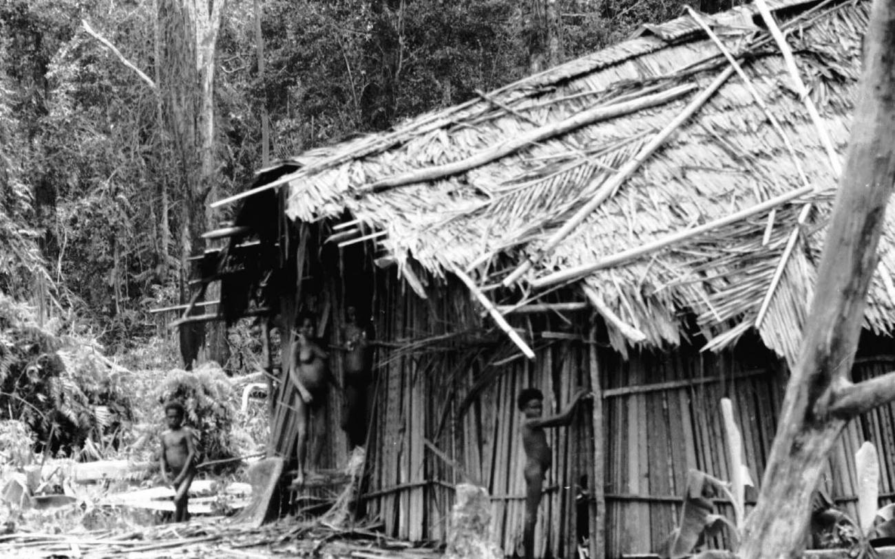 BD/133/56 -
Trip Merauke-Kapi: A house with its inhabitants
