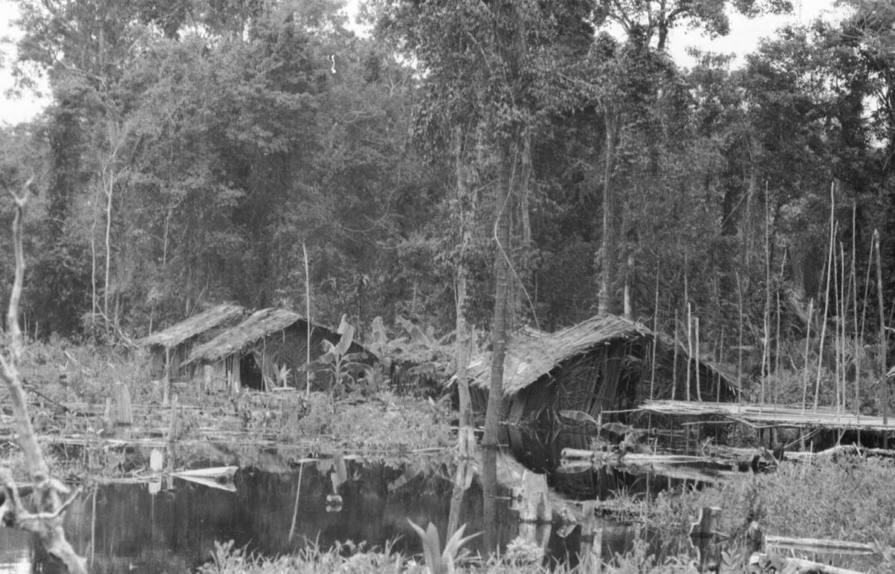 BD/133/59 -
Trip Merauke-Kapi: Houses on the water