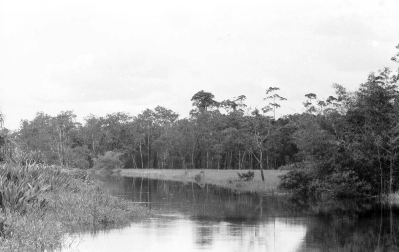 BD/133/61 -
Trip Merauke-Kapi: View on the river