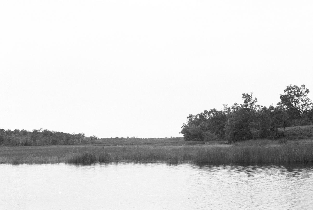BD/133/647 -
Rivieroever, gezien vanaf de rivier