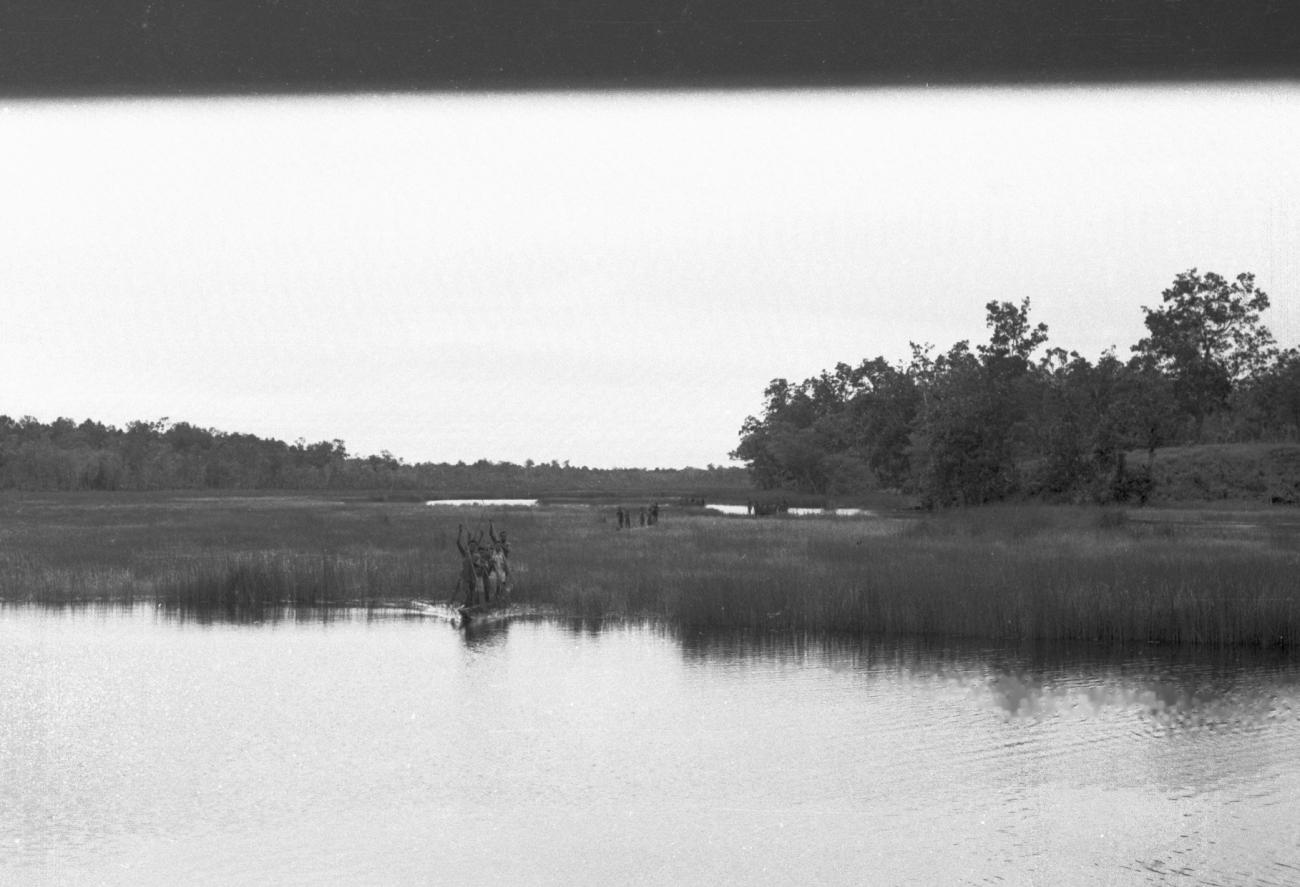 BD/133/653 -
Rivierlandschap met prauwen varend door het riet