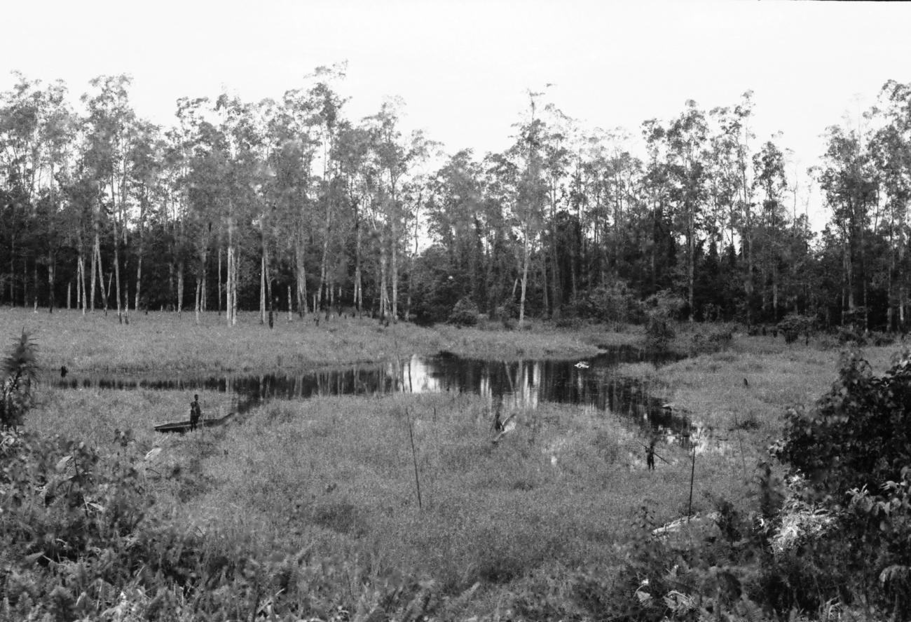 BD/133/655 -
Rivieroever met Papoea-kinderen varend in prauwen door het riet