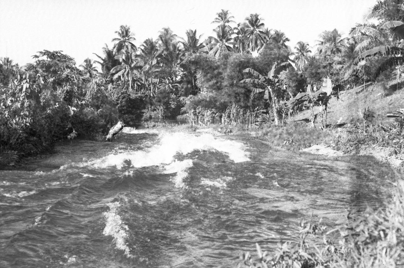 BD/133/674 -
Stroomversnelling bij hoge rivieroever en palmbomen