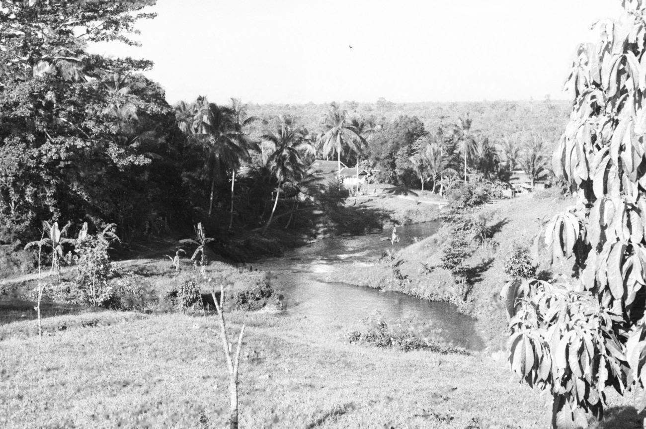 BD/133/675 -
Landschap met rivier, huizen op de oever en oerwoud