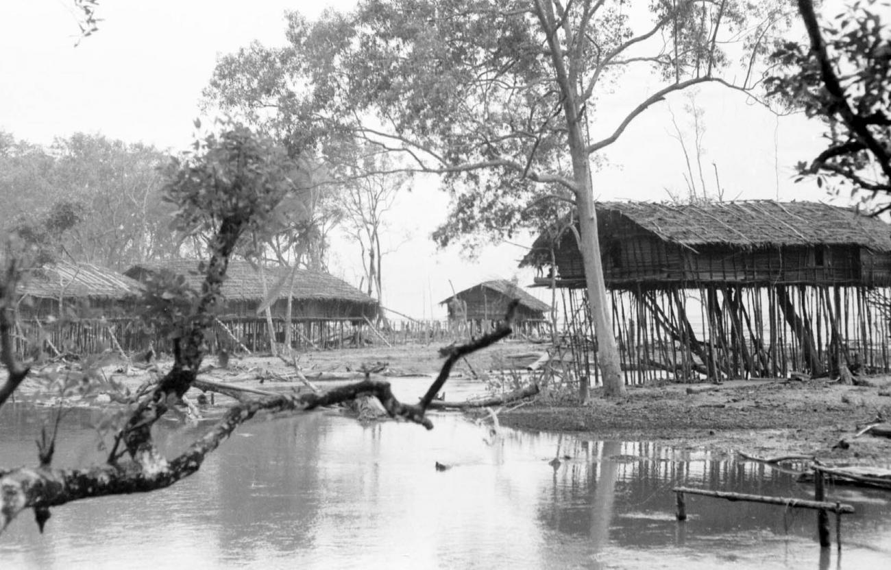 BD/133/67 -
Trip Merauke-Kapi: Settlement on the river near Kapi