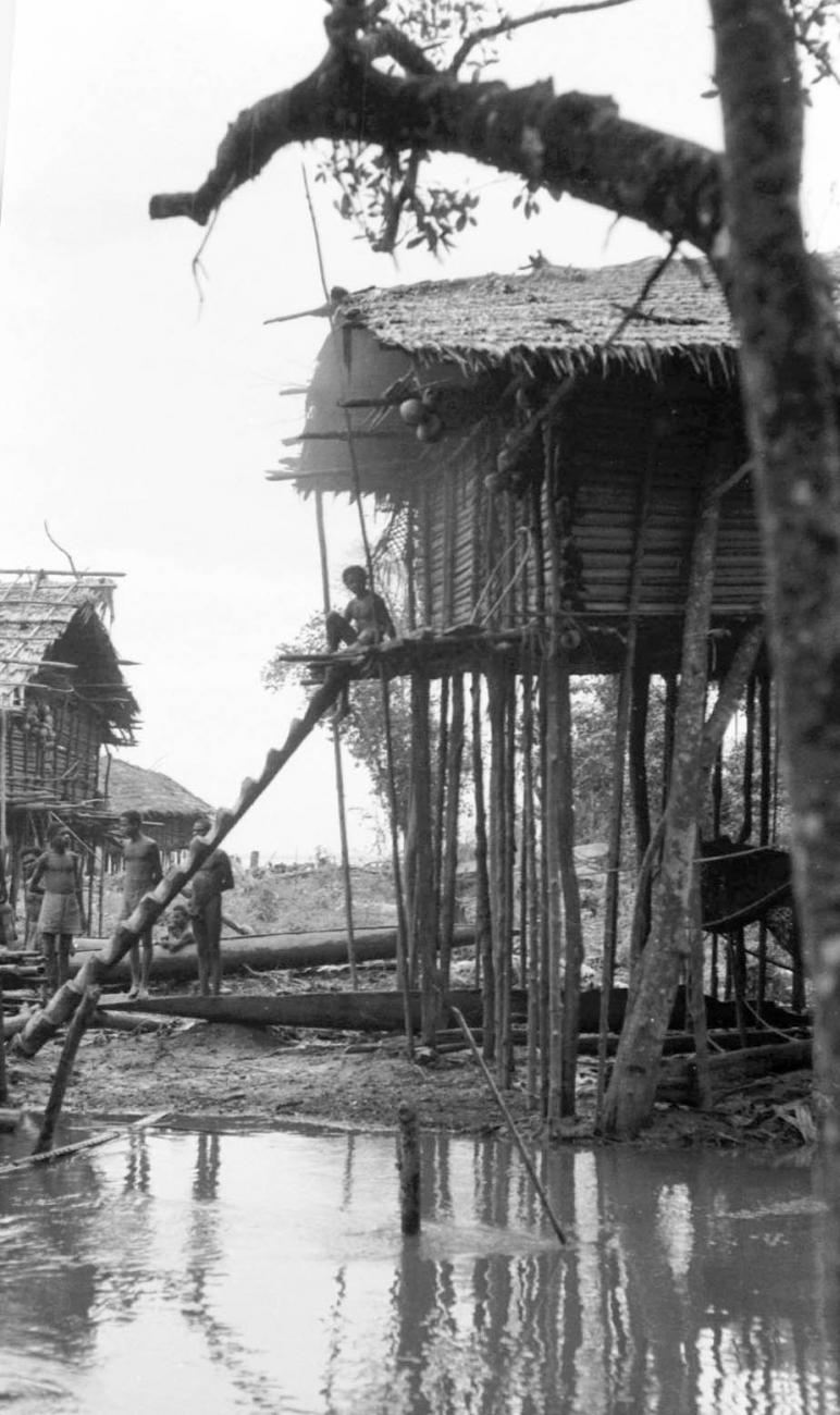 BD/133/68 -
Trip Merauke-Kapi: House on stilts