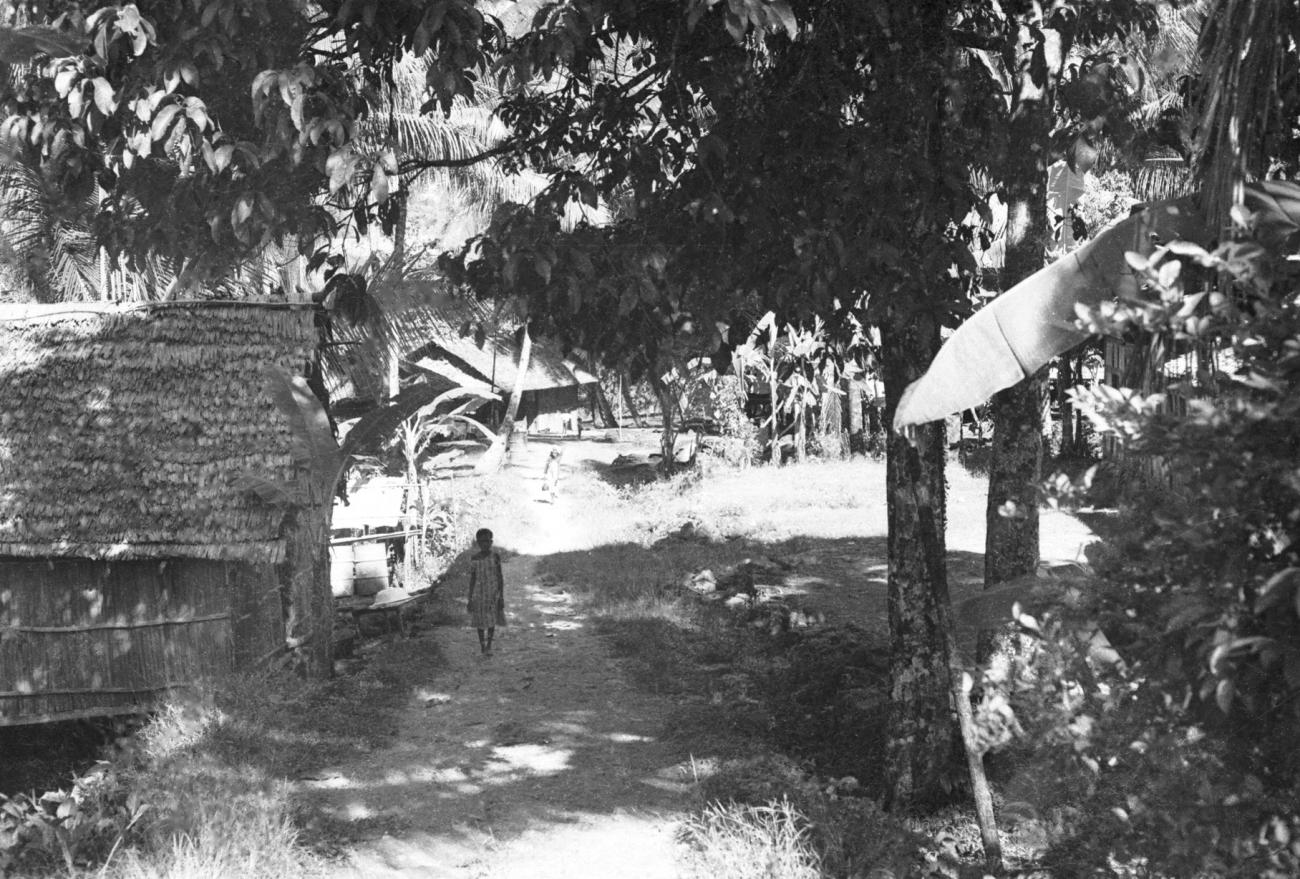 BD/133/695 -
Nederzetting met hutten van palmbladeren