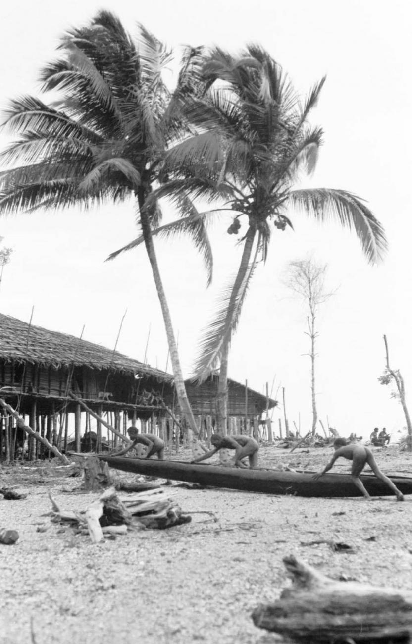 BD/133/71 -
Trip Merauke-Kapi: Men taking a prau from the water