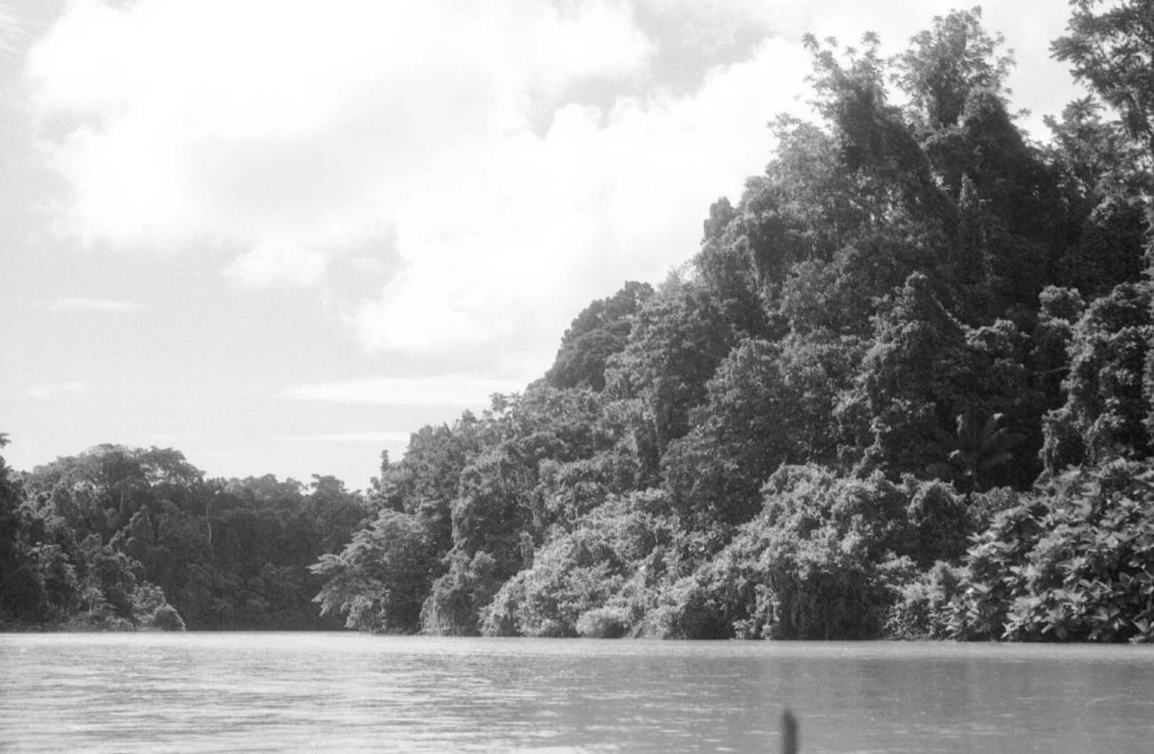 BD/133/75 -
Sarmi-Hollandia: View from a boat over the river
