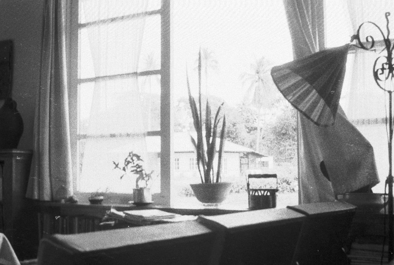 BD/133/794 -
Blik op een westers huisinterieur met vensterbank en planten