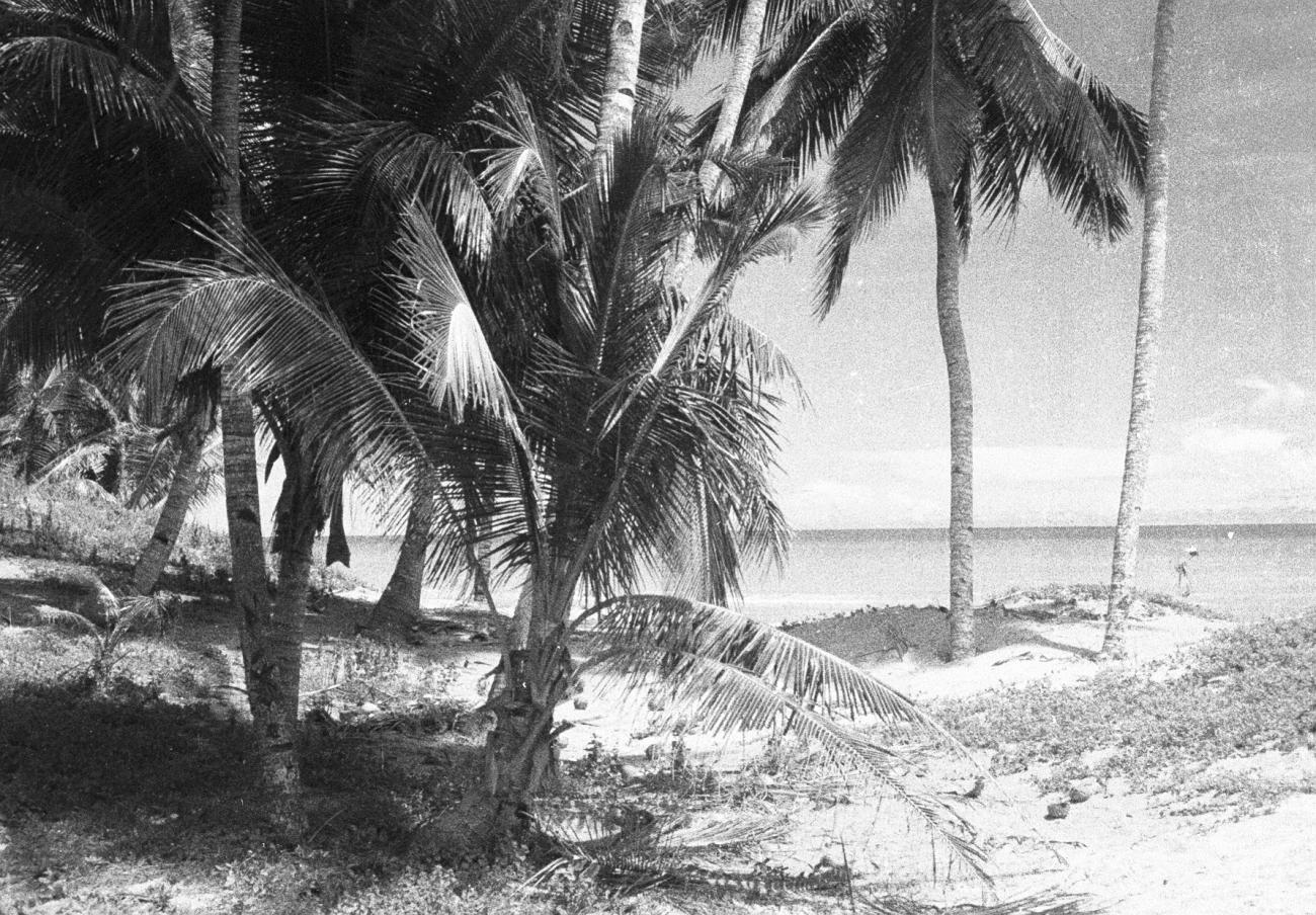 BD/133/819 -
Zee met strand en palmbomen