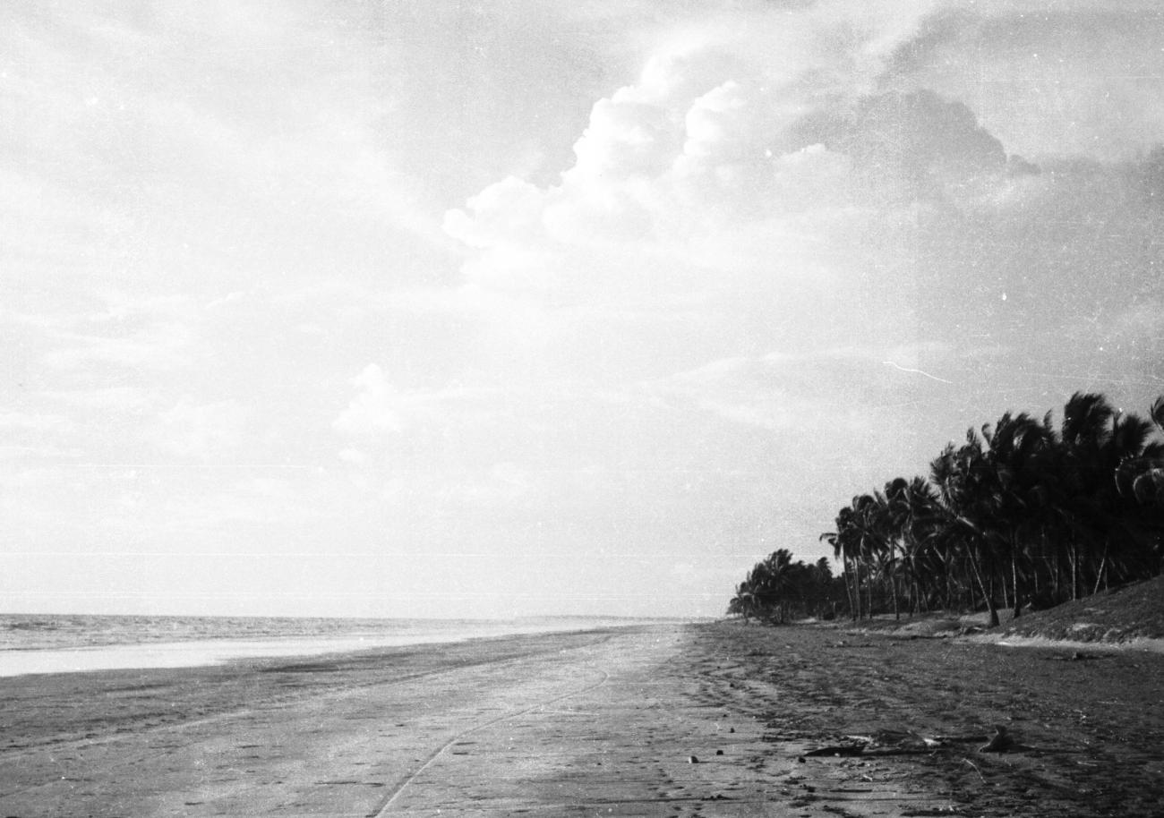 BD/133/832 -
Panorama van zee, strand en palmbomen