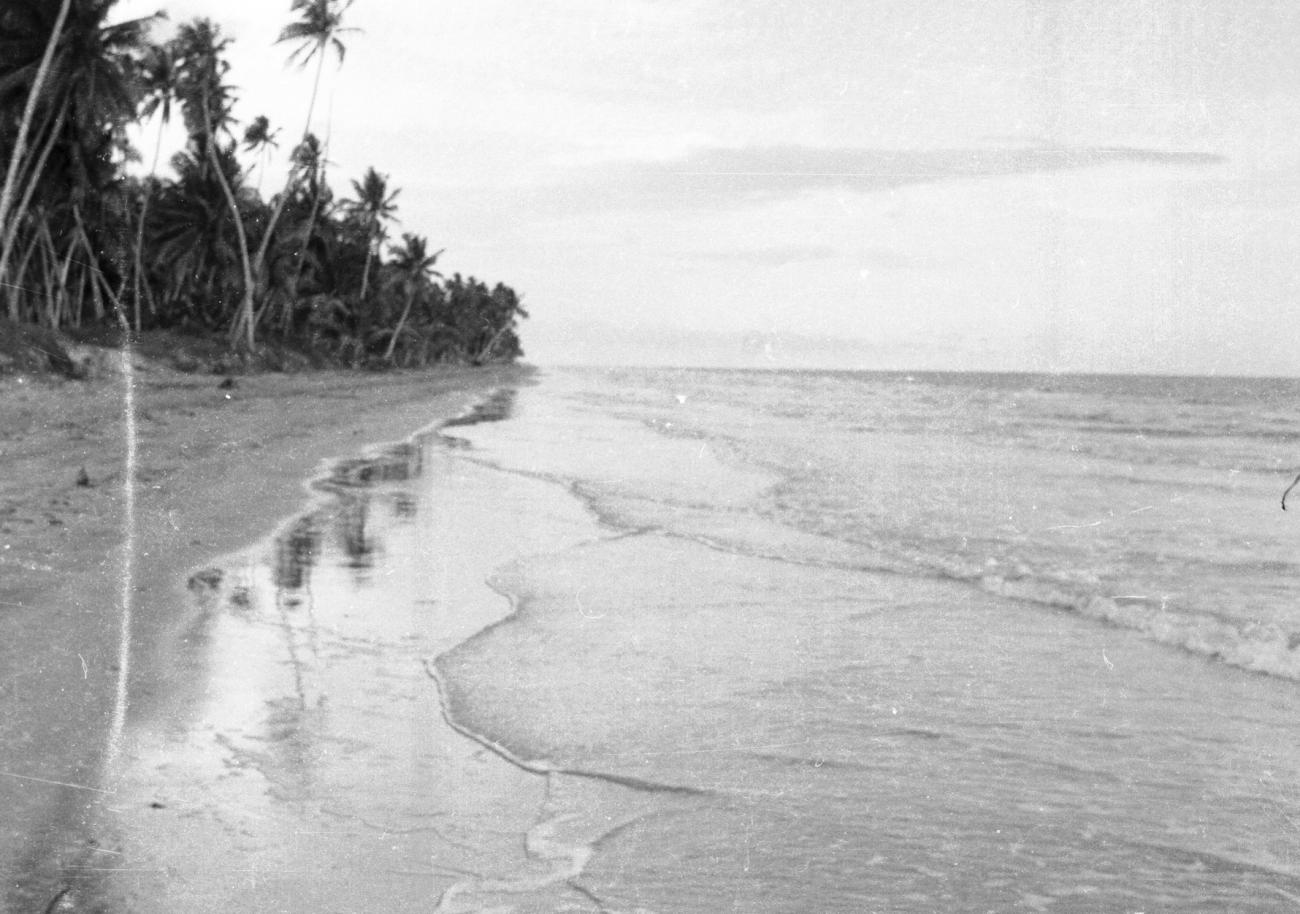 BD/133/846 -
Kustlijn met strand en palmbomen