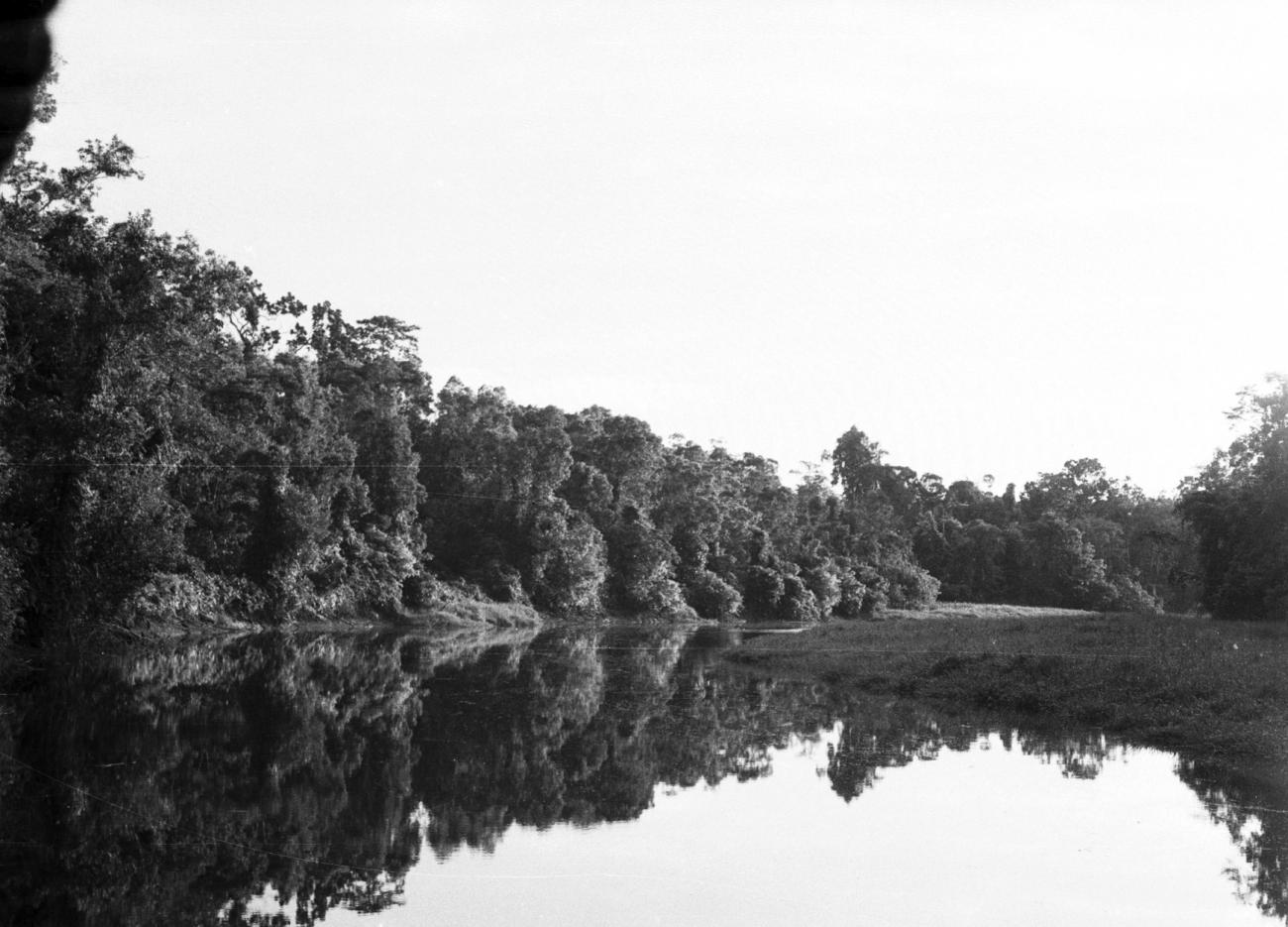 BD/133/857 -
Landschapsfoto met rivier en oerwoud
