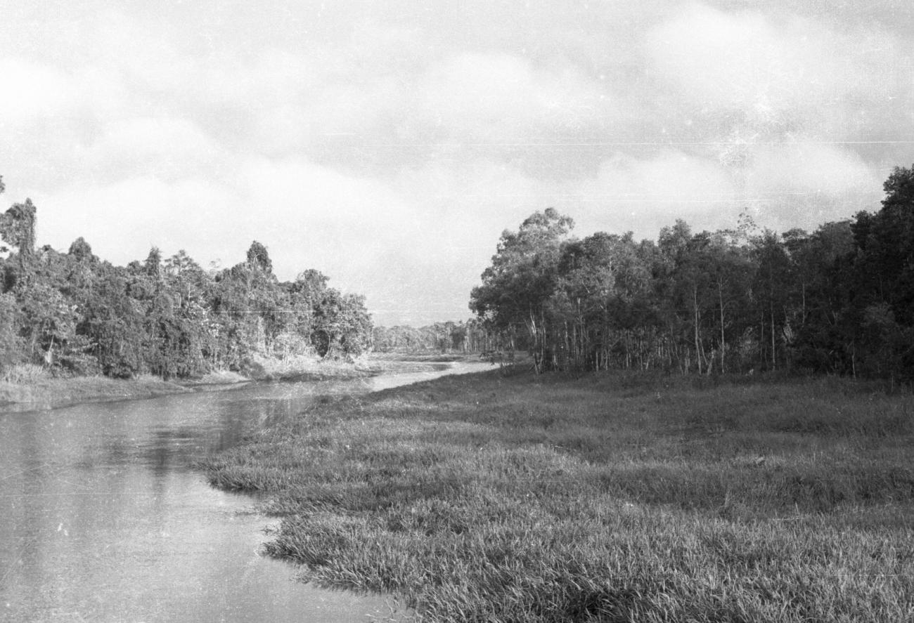 BD/133/862 -
Rivierlandschap met oerwoud