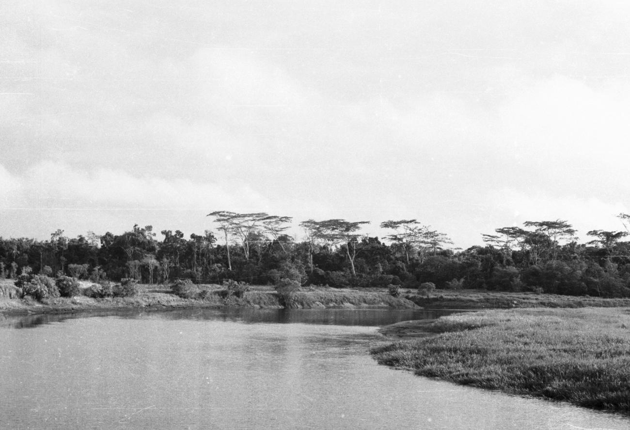 BD/133/863 -
Rivierlandschap met oerwoud