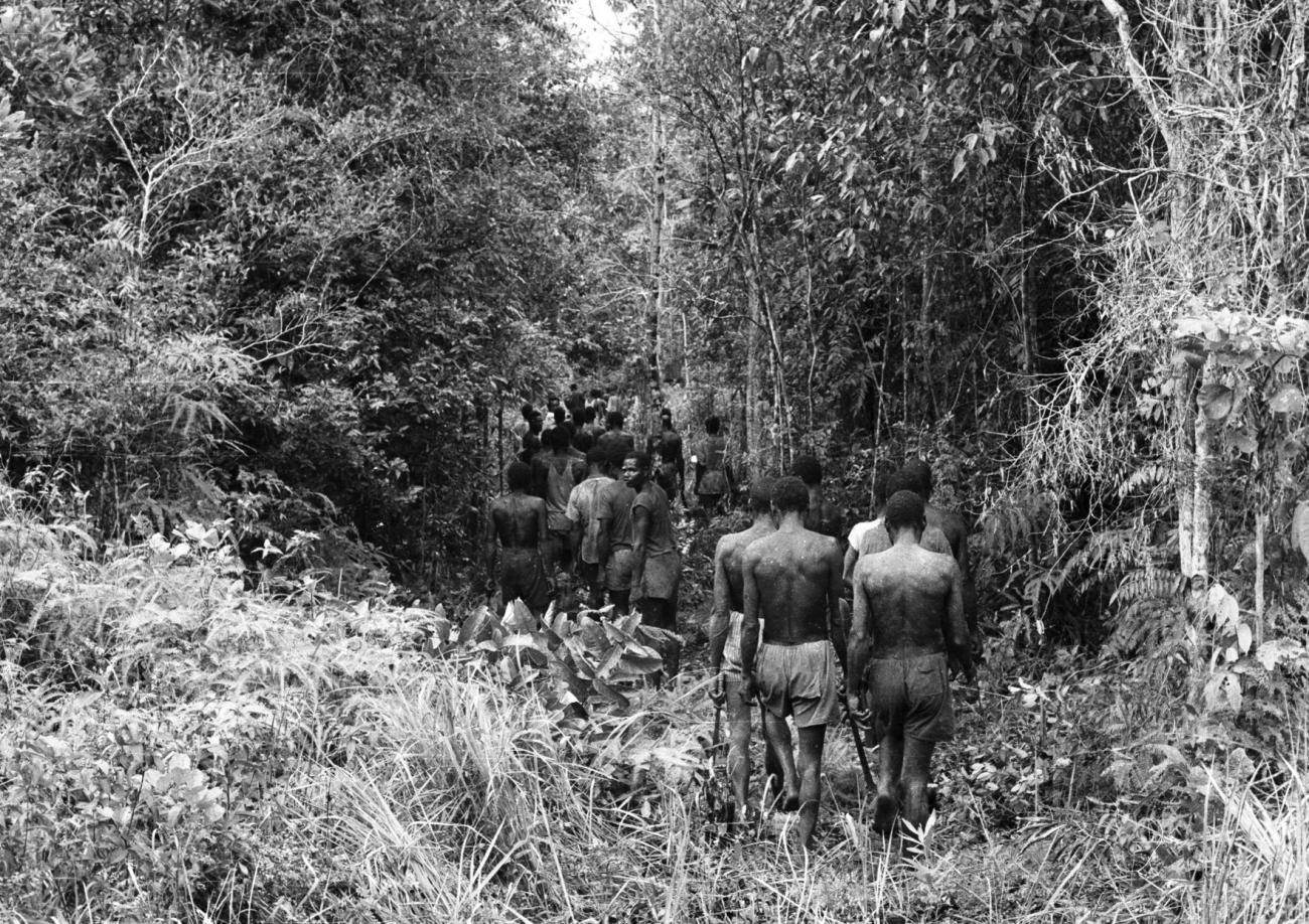 BD/133/873 -
Papoeamannen op weg door het oerwoud met kapmessen