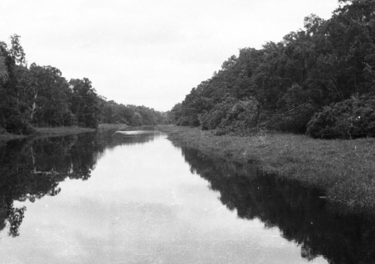 BD/133/887 - 
Rivier met oerwoud
