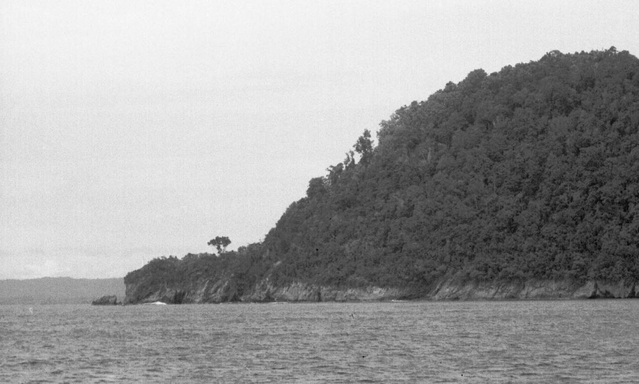 BD/133/93 -
Sarmi-Hollandia: View on the shore
