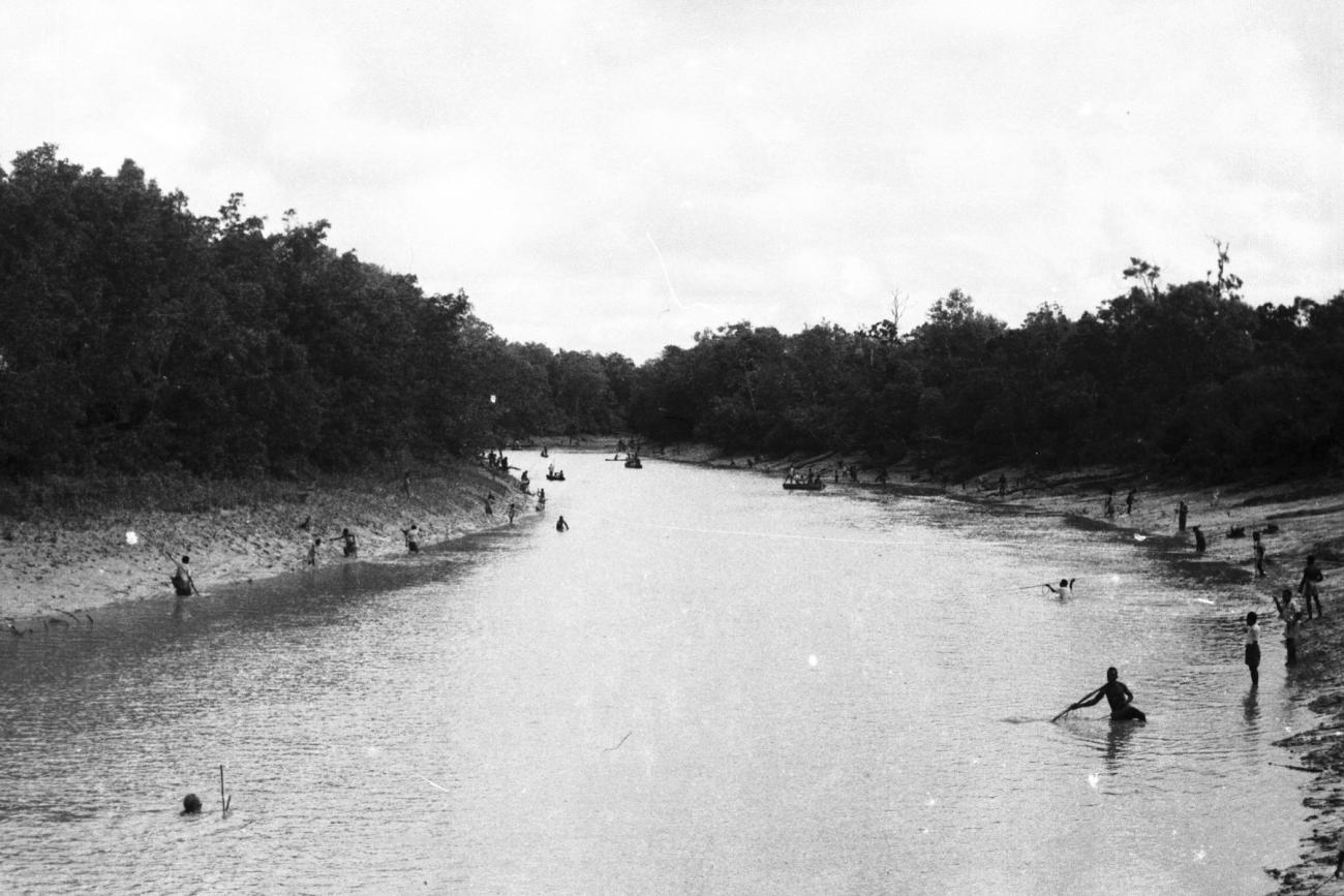 BD/133/944 -
Rivierlandschap met langs de oevers vissende Papoea's