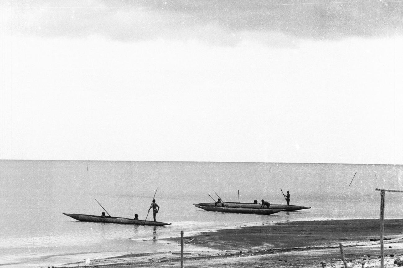 BD/133/979 -
Prauwen met Papoea's (Asmat) vlakbj de kust