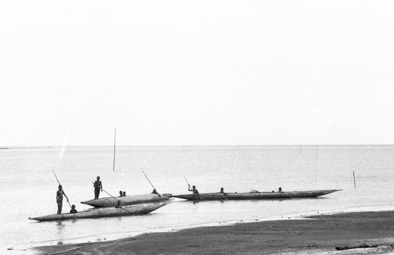 BD/133/980 -
Prauwen met Papoea's (Asmat) vlakbj de kust