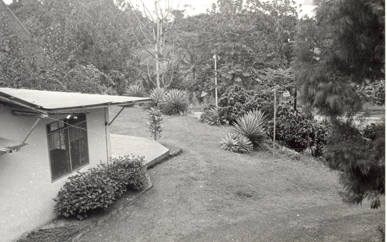 BD/253/11 -
Foto van een gebouw plus omliggende tuin