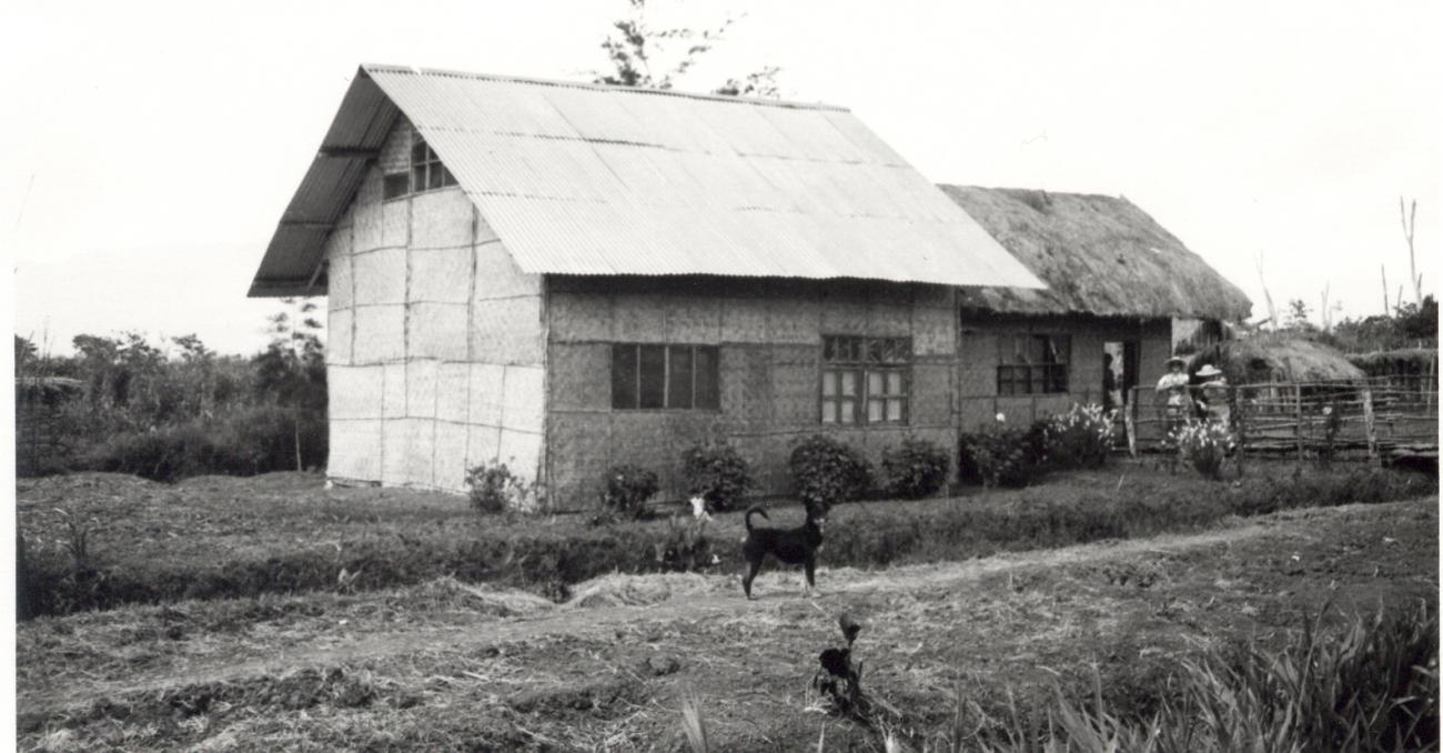 BD/253/48 - 
Een huis
