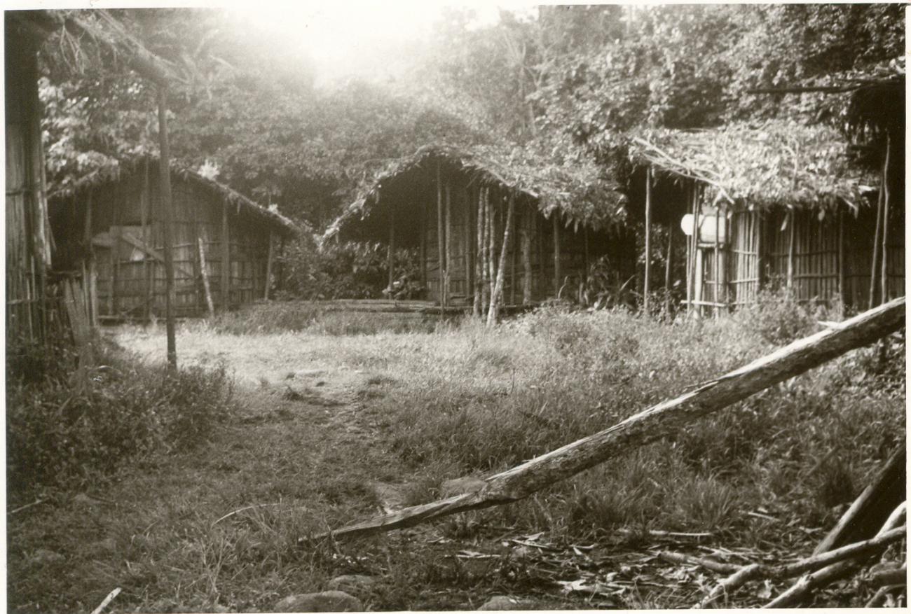 BD/253/59 - 
Zicht op huisjes
