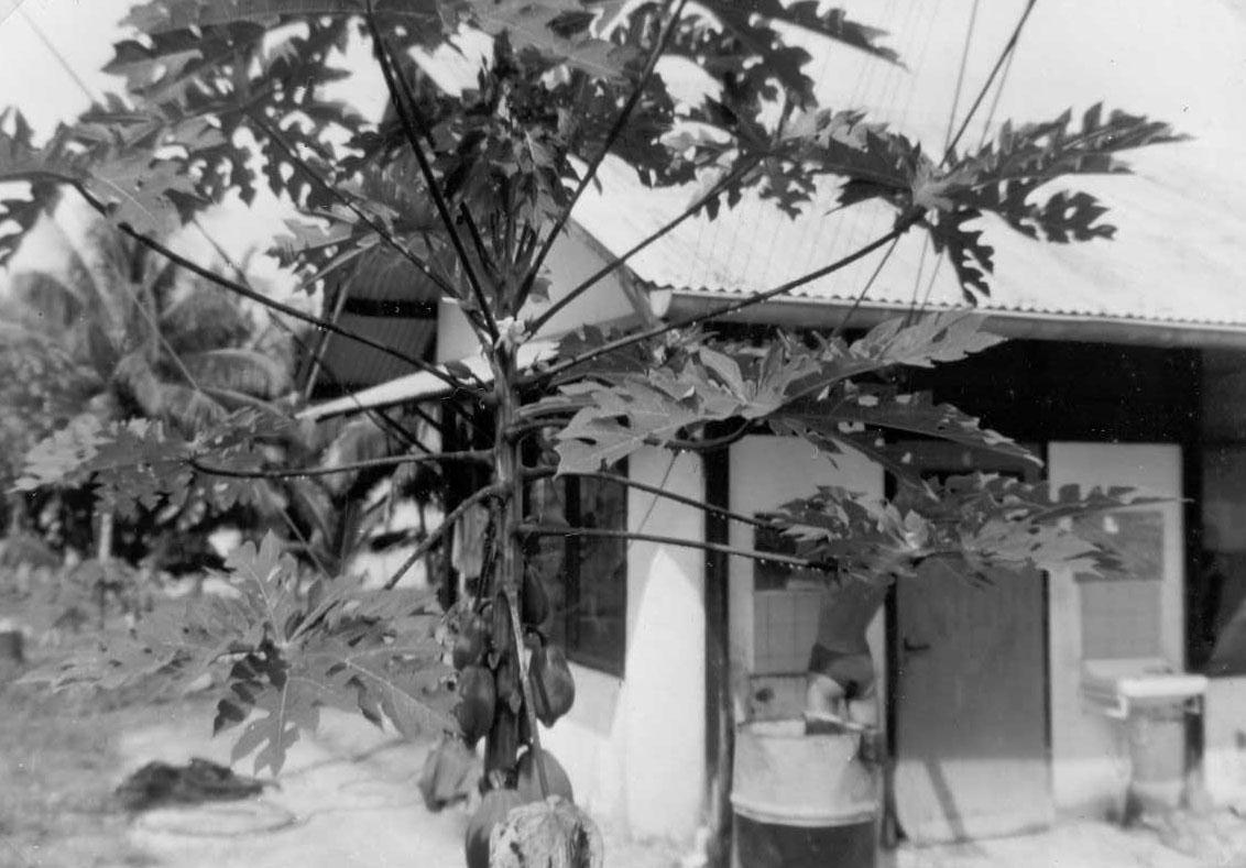 BD/277/20 -
Huis op militair kampement