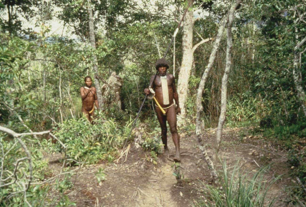 BD/285/59 -
Mannen op jacht in het bos met een speer