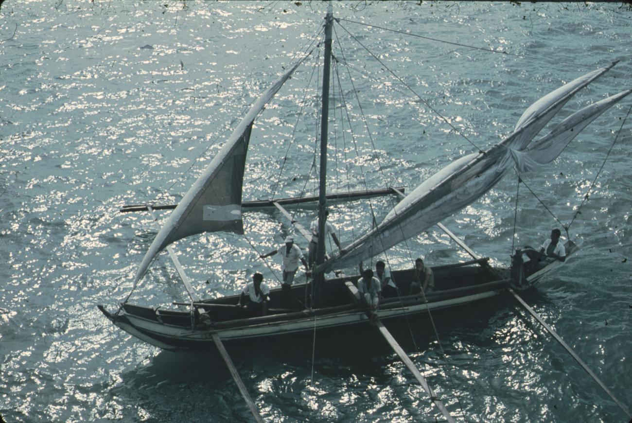BD/248/220 - 
Vlerkprauw op Stille oceaan
